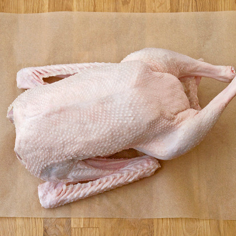 Ολόκληρη πάπια Ιταλίας Fresh Frozen έτοιμη για ψήσιμο στον φούρνο.
